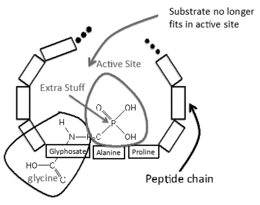 Winter2016Glyphosate2