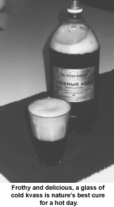 Kvass in india discount