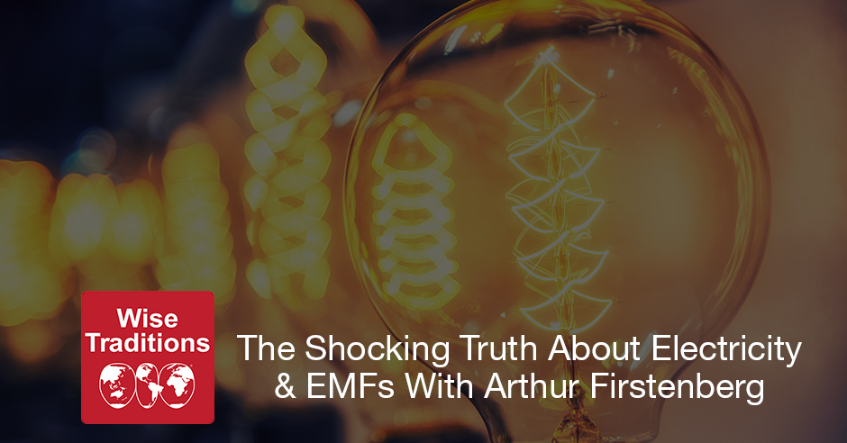 The Shocking Truth About Electricity & EMFs