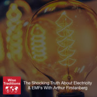 The Shocking Truth About Electricity & EMFs
