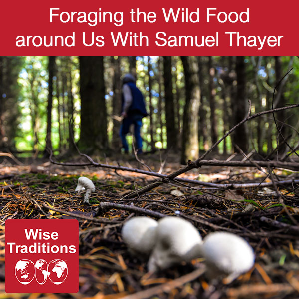 Foraging the Wild Food around Us