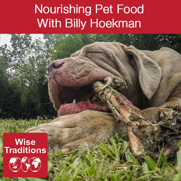 Nourishing Pet Food