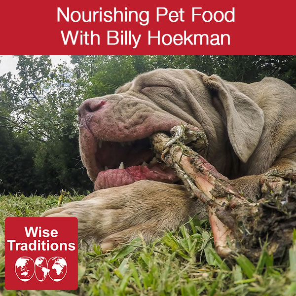 7 Top Reasons to use Clay in your Dog's Diet Regime - My Pet Nutritionist