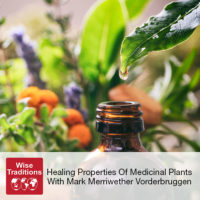 Healing Properties Of Medicinal Plants