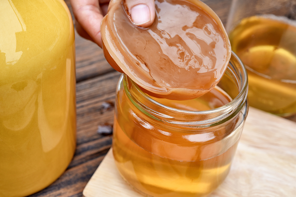 Are Kombucha and Other Fermented Foods Toxic Because of Their Aldehyde Content?