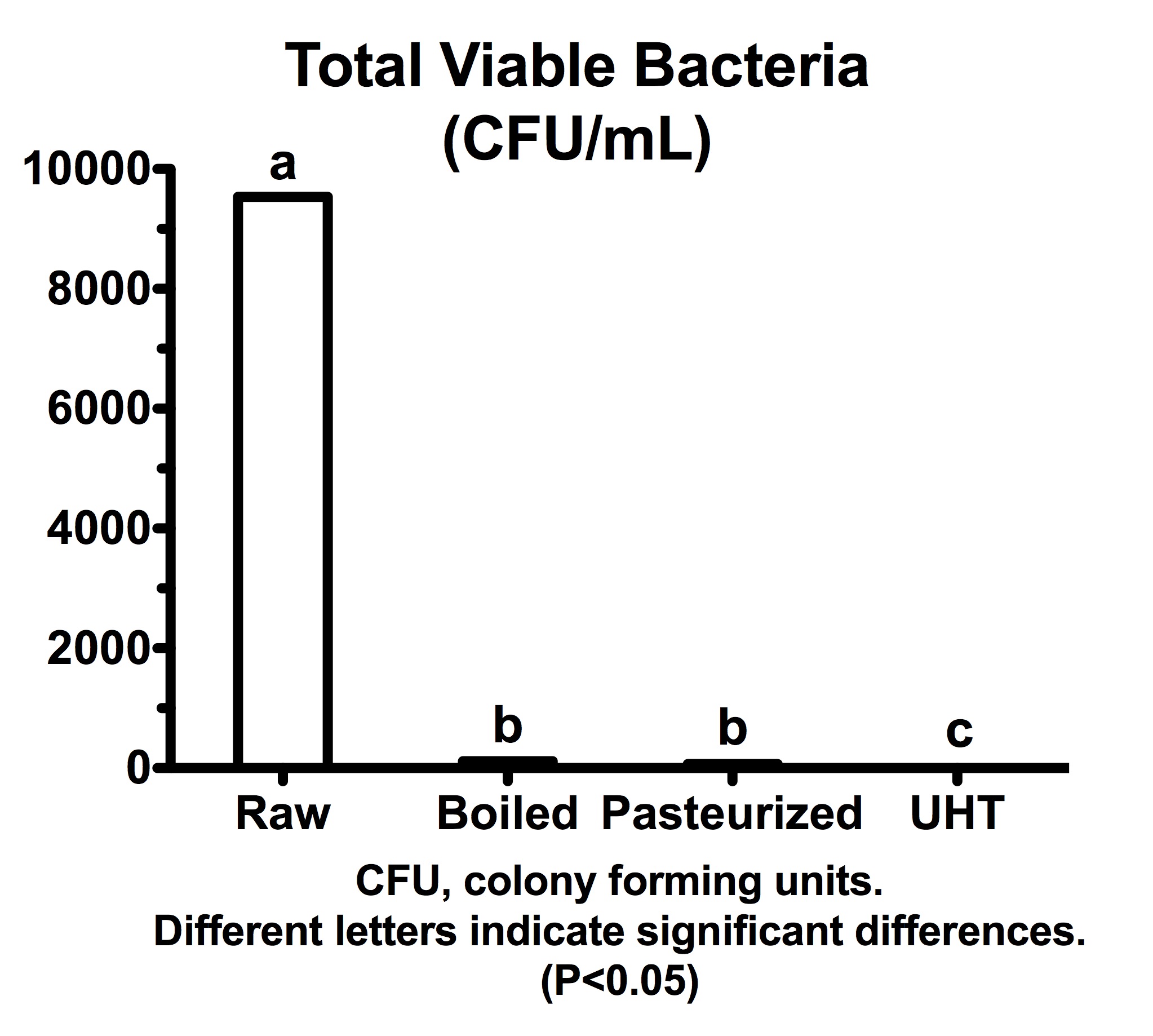 Bacteria6