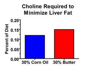 Choline-Corn-Oil-Butter
