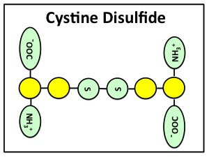Cystine2