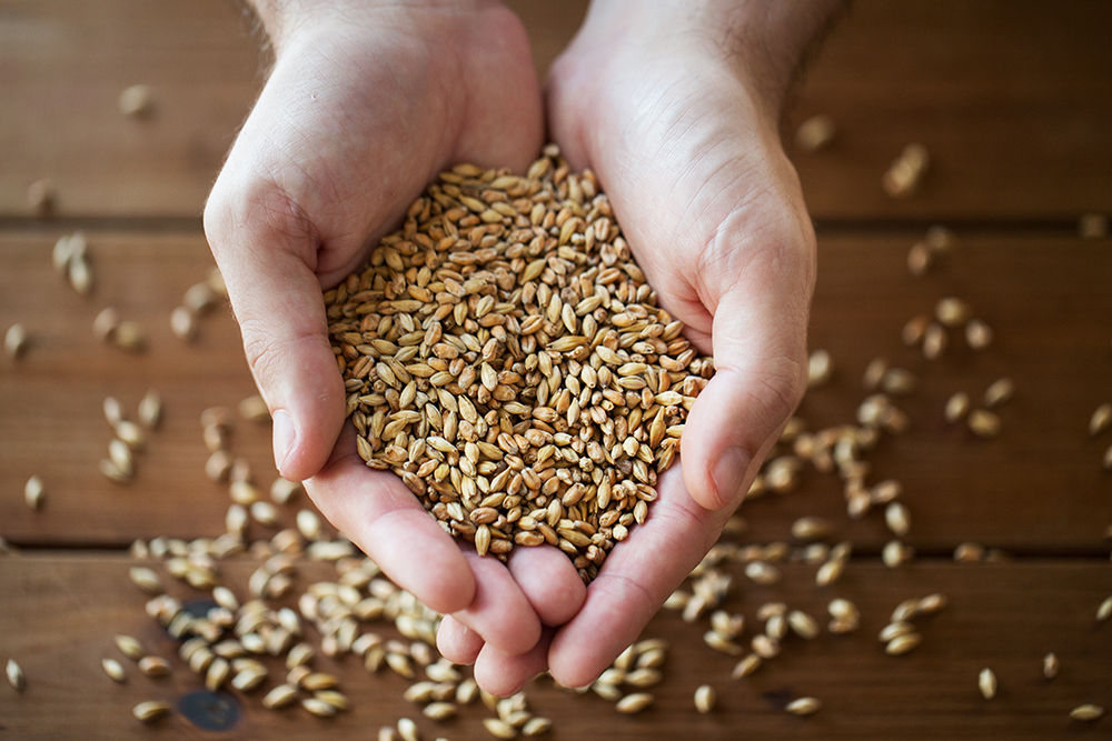 Be Kind to Your Grains … And Your Grains Will Be Kind To You
