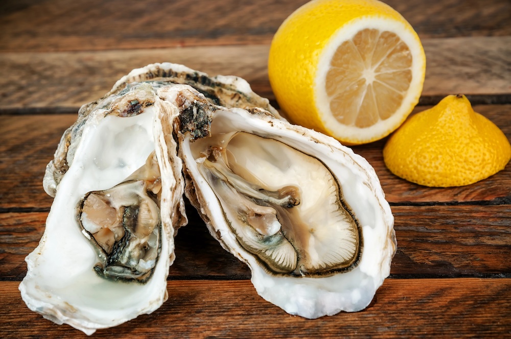 Oyster Nutrition