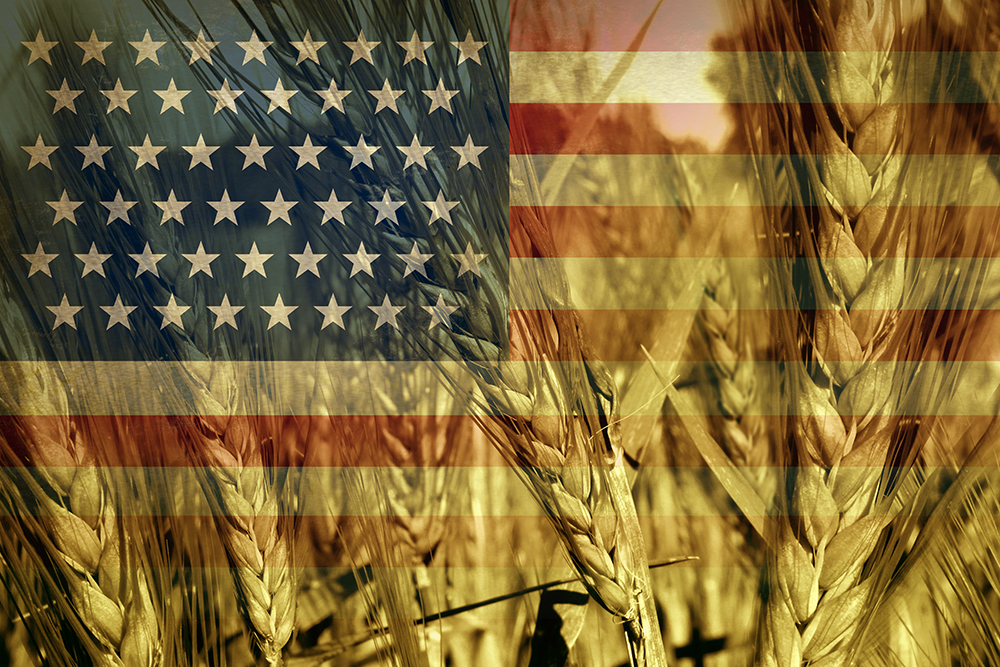 Senate Farm Bill vote coming up quickly – call now!