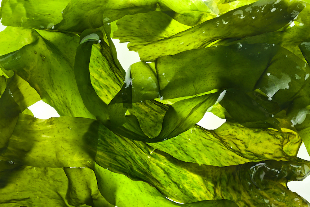 Seaweed Vegetable Soup