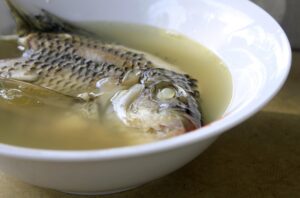 Fish Broth
