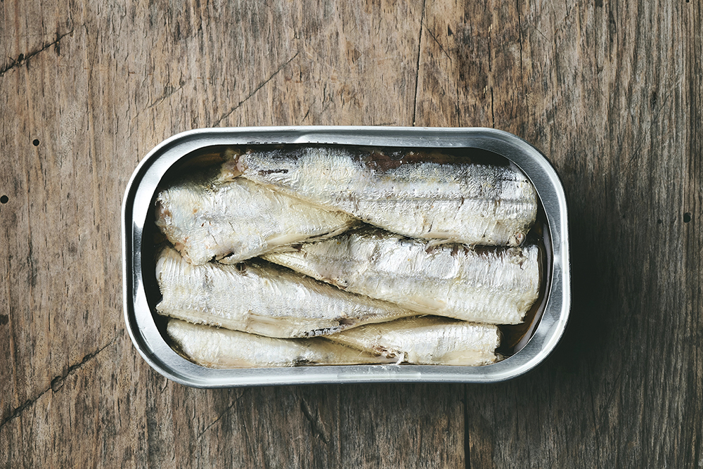 Sardine Recipes