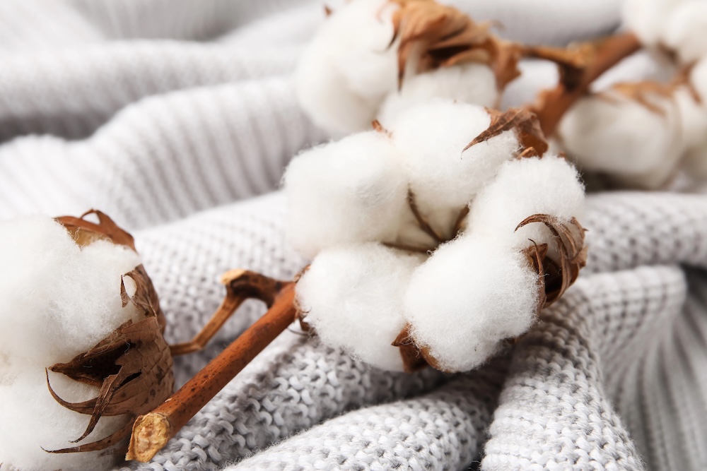 Slow Fashion Movement