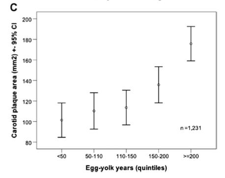 Egg-Yolk-Blog-Exponential