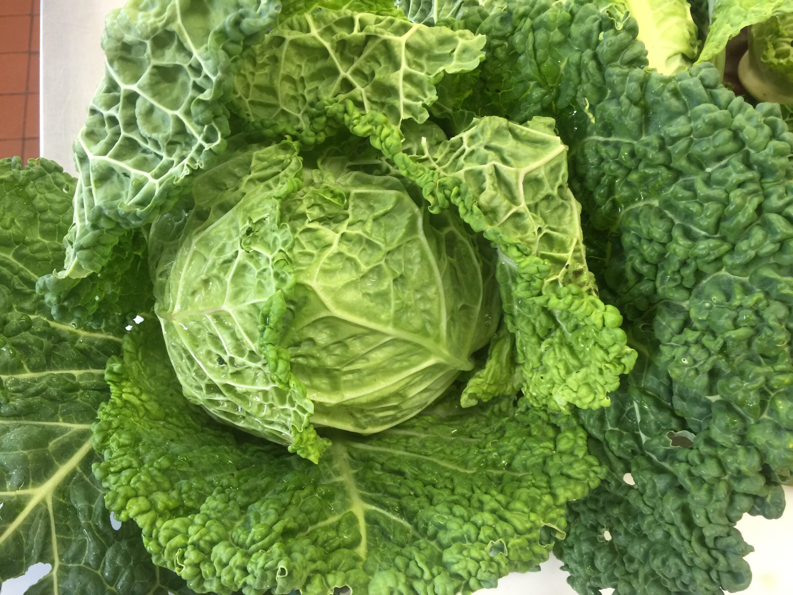 Golden Sauerkraut