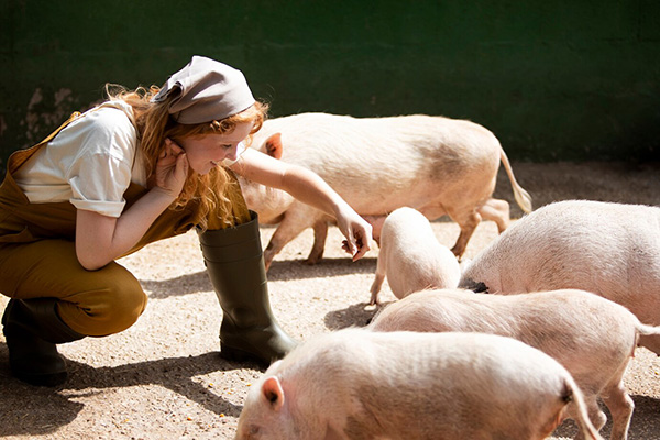 Wise Traditions | Charles Mayfield | Lard