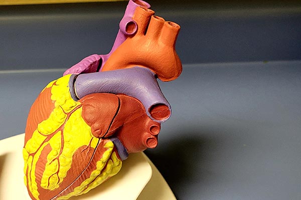 Wise Traditions | Dr. Jack Wolfson | Heart