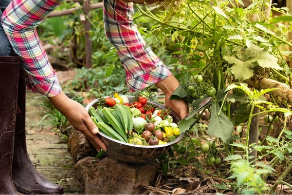 Wise Traditions | Bob Quinn | Organic