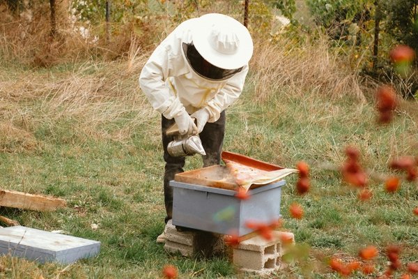 Wise Traditions | Tara Couture | Homestead