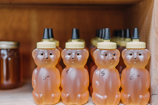 Wise Traditions | Natalie B. | Beekeeping