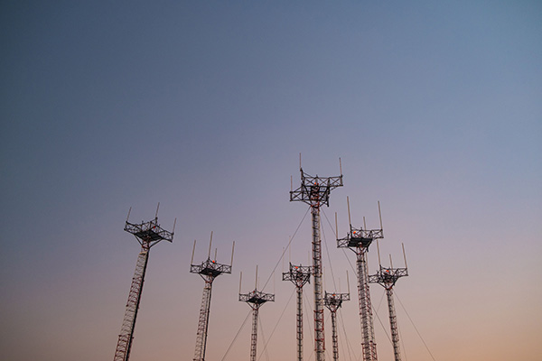 Wise Traditions | Odette Wilkens | 5G
