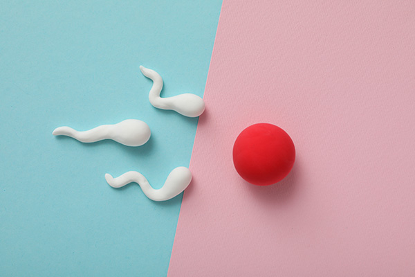 Wise Traditions | Lily Nichols | Fertility