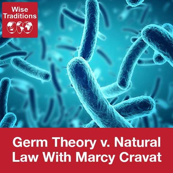 Germ Theory V. Natural Law