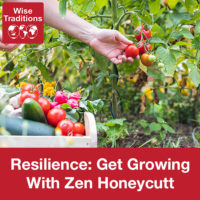 Resilience: Get Growing