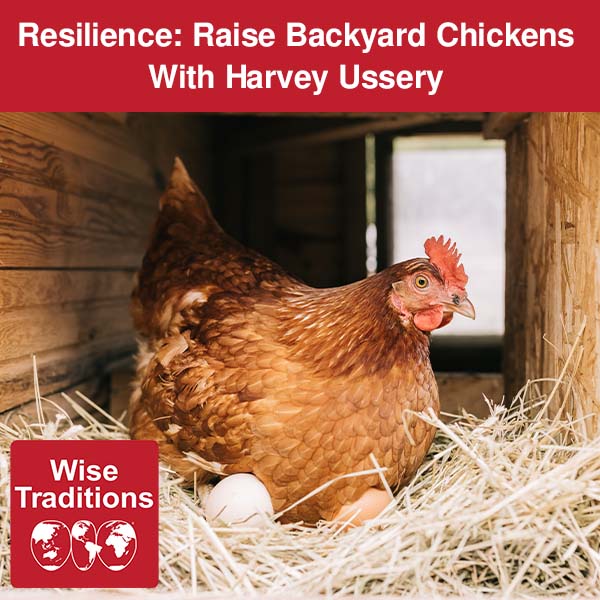 Resilience: Raise Backyard Chickens