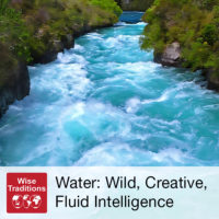 Water: Wild, Creative, Fluid Intelligence