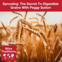 Sprouting: The Secret To Digestible Grains