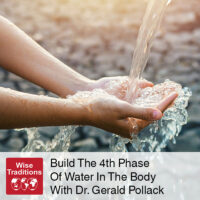 Build The 4th Phase Of Water In The Body