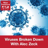 Viruses Broken Down
