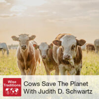 Cows Save The Planet