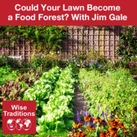 Could Your Lawn Become a Food Forest?