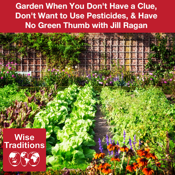 Garden When You Don’t Have a Clue, Don’t Want to Use Pesticides, & Have No Green Thumb with Jill Ragan