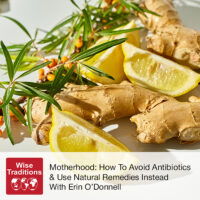 Motherhood: How To Avoid Antibiotics & Use Natural Remedies Instead With Erin O’Donnell