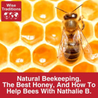 Natural Beekeeping, The Best Honey, And How To Help Bees With Nathalie B.