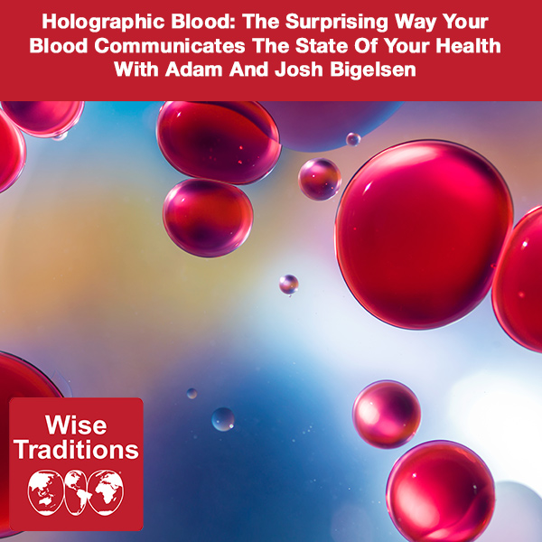 Holographic Blood: The Surprising Way Your Blood Communicates The State Of Your Health With Adam And Josh Bigelsen