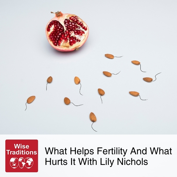 What Helps Fertility And What Hurts It With Lily Nichols