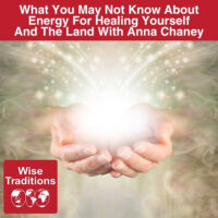 What You May Not Know About Energy For Healing Yourself And The Land With Anna Chaney
