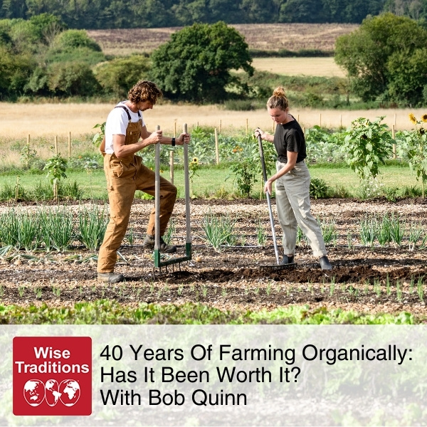 40 Years Of Farming Organically: Has It Been Worth It? With Bob Quinn