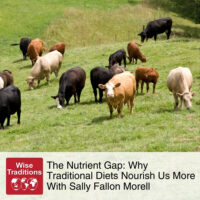 The Nutrient Gap: Why Traditional Diets Nourish Us More With Sally Fallon Morell