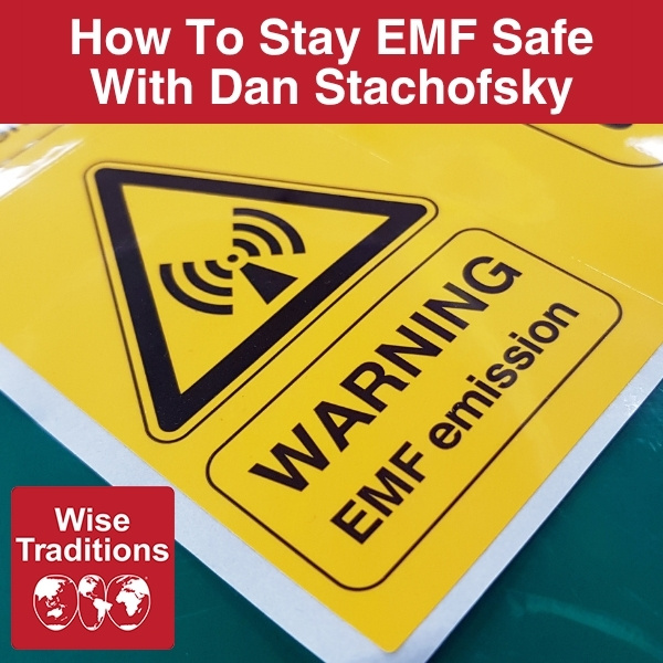 How To Stay EMF Safe With Dan Stachofsky