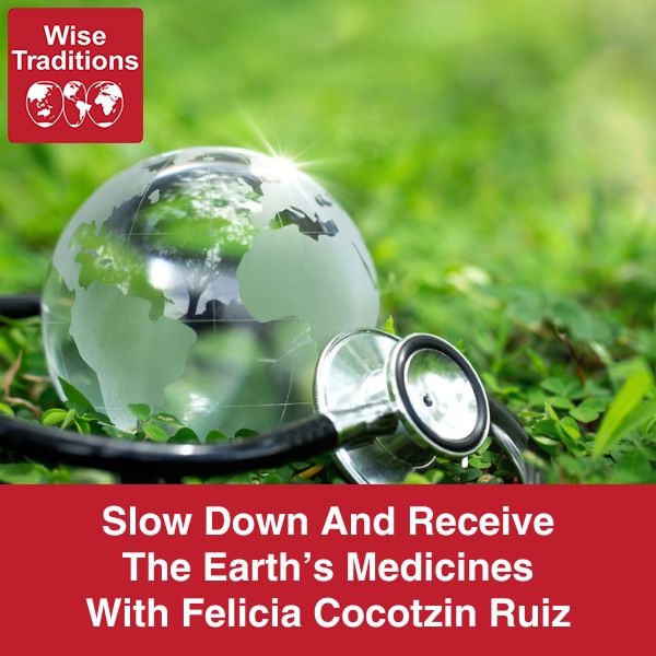 Slow Down And Receive The Earth’s Medicines With Felicia Cocotzin Ruiz