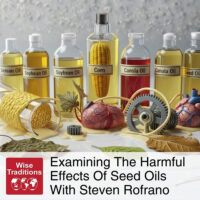 Examining The Harmful Effects Of Seed Oils With Steven Rofrano