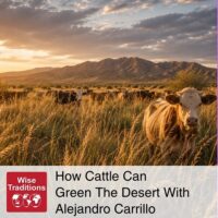 How Cattle Can Green The Desert With Alejandro Carrillo