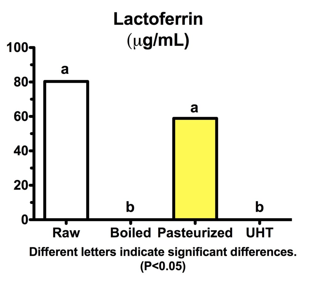 Lactoferrin3